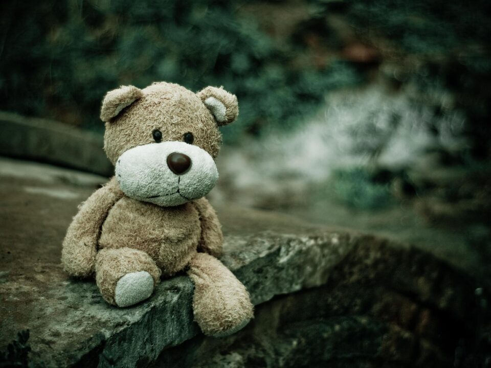 Teddy bear sa pixabay.com